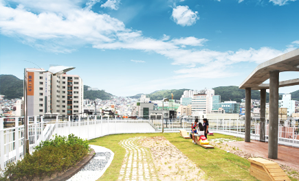 옥상 하늘정원 사진