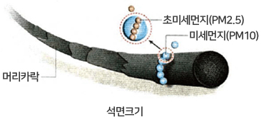 석면크기 - 머리카락 보다 작읍 초미세먼지(PM2.5), 미세먼지(PM10)