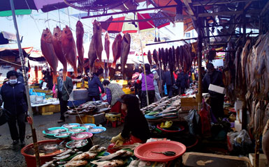 Jagalchi Market