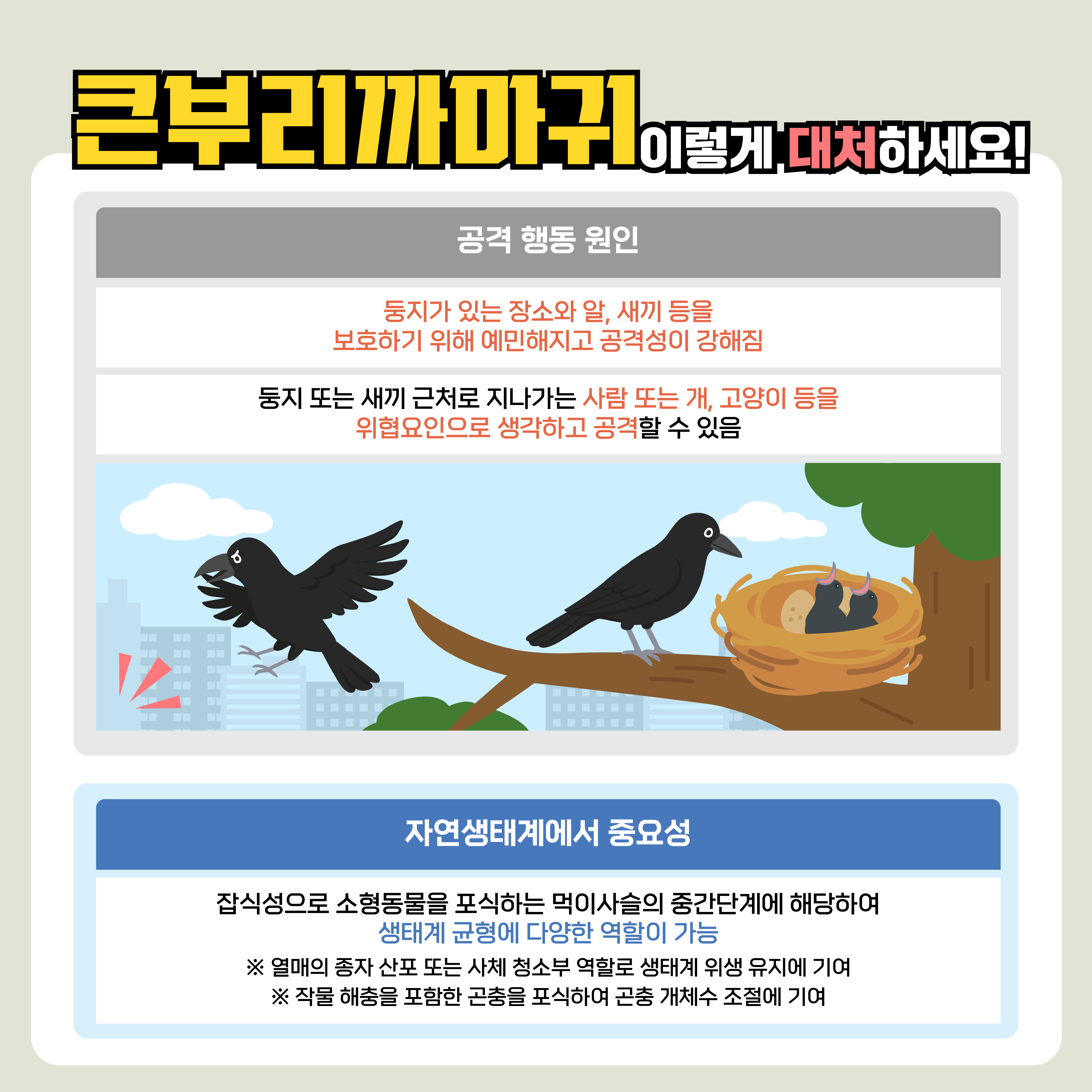 큰부리까마귀 대처요령 안내 (3~7월) 3