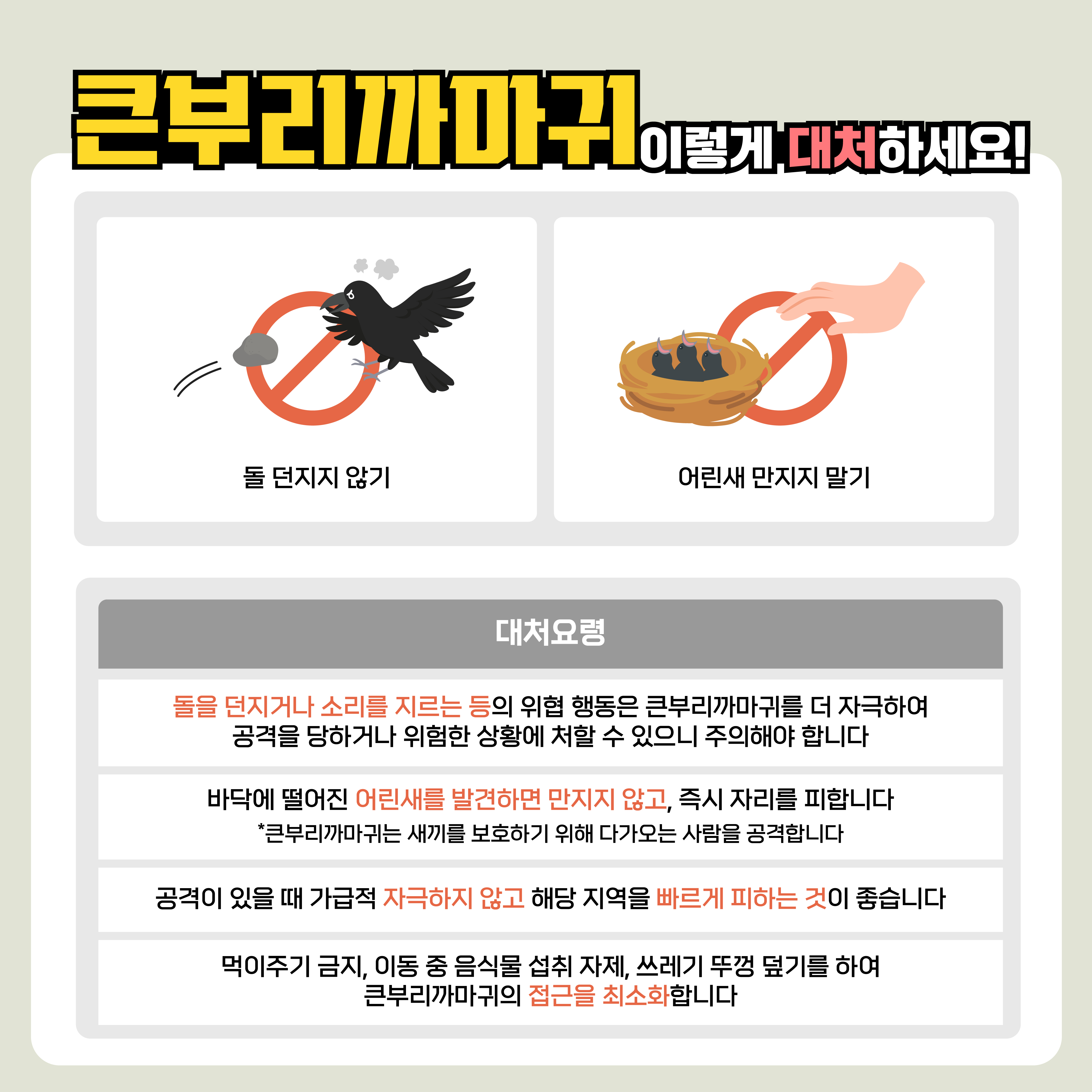 큰부리까마귀 대처요령 안내 (3~7월) 5