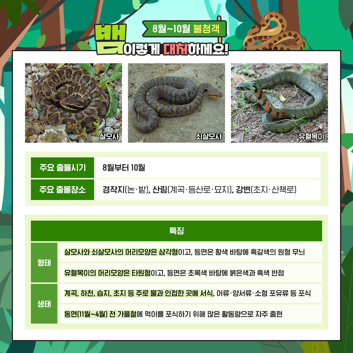 생활 주변 야생동물(뱀) 대처 요령 안내 2