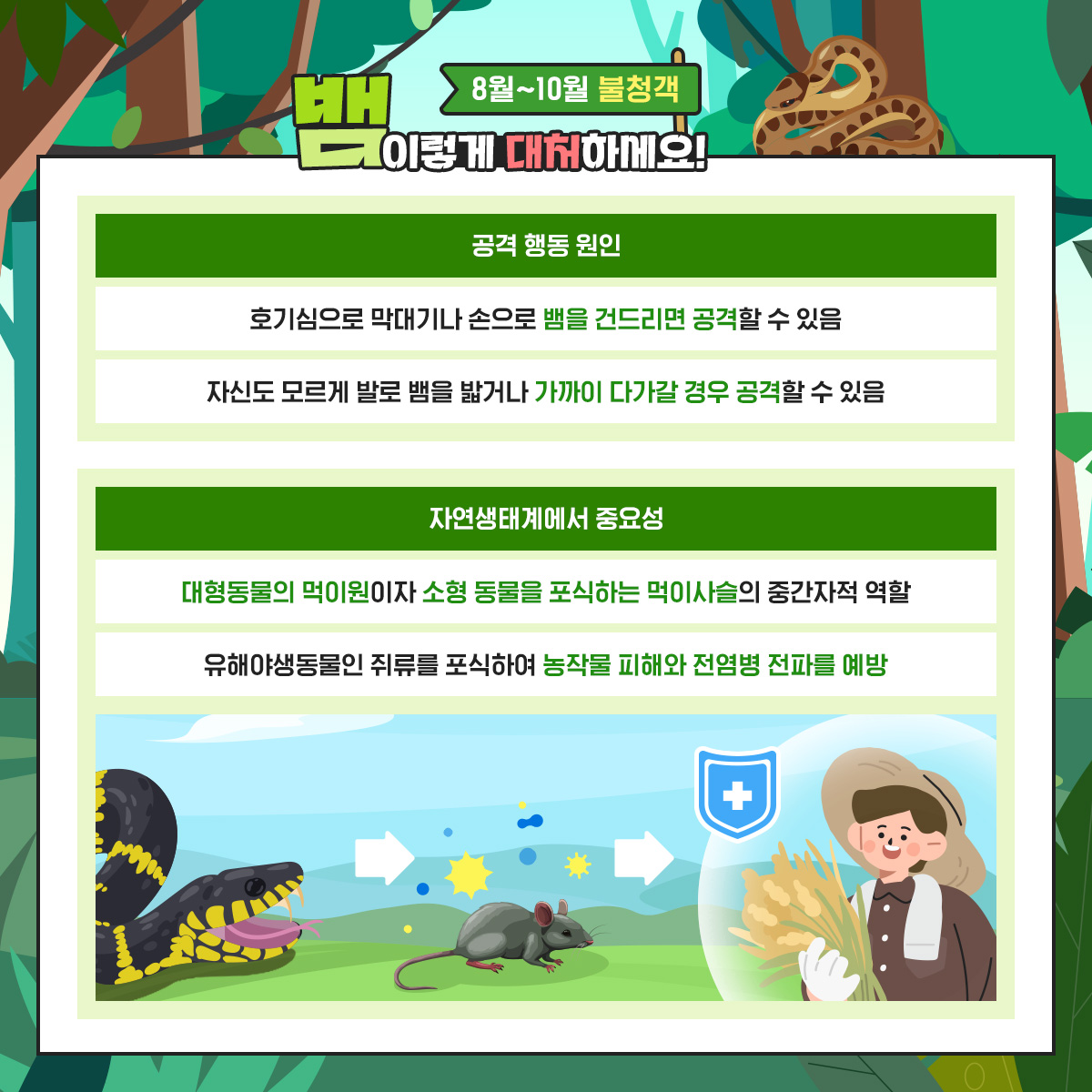 생활 주변 야생동물(뱀) 대처 요령 안내 3