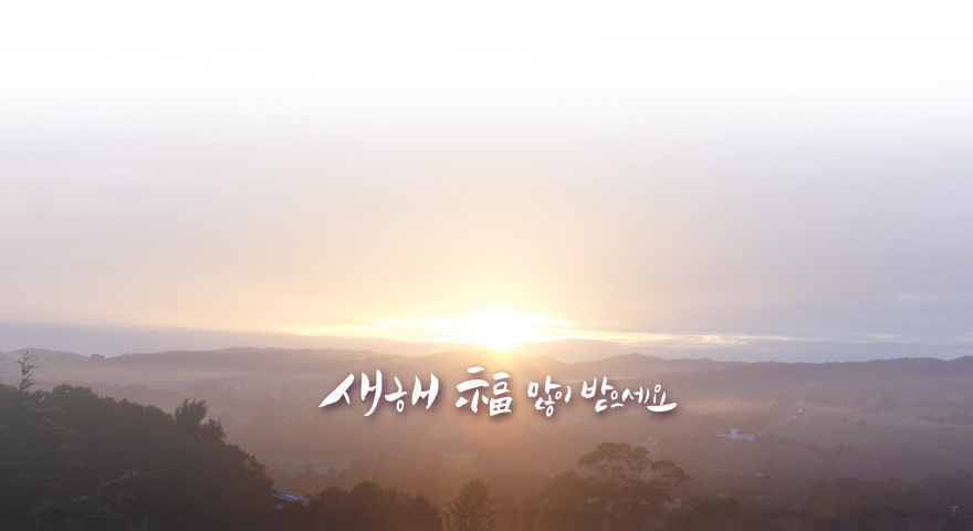 새로운 희망과 비전으로 행복도시를 만들겠습니다