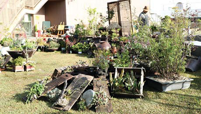 이런 정원 어떠세요!