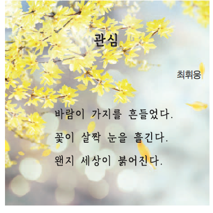 마음의 자락