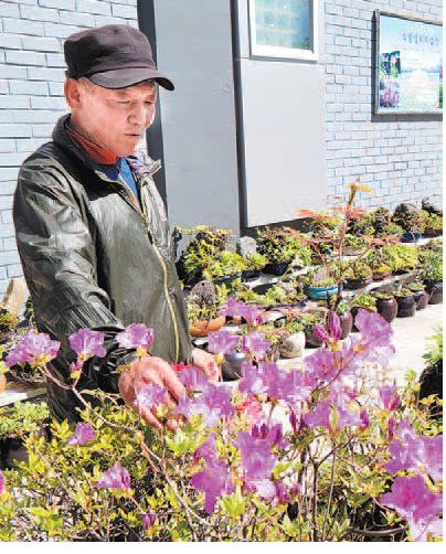 우리동네 일꾼－대청동 김대의 반장