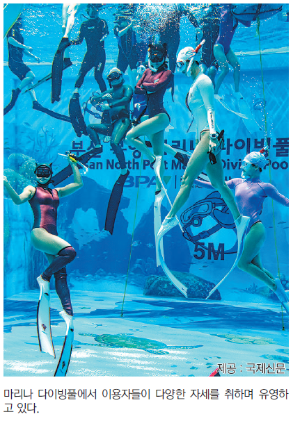 다이빙! 원정 가지 말고 북항 마리나에서 즐기자