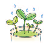 명예기자의 뜨락 - 관심과 간섭