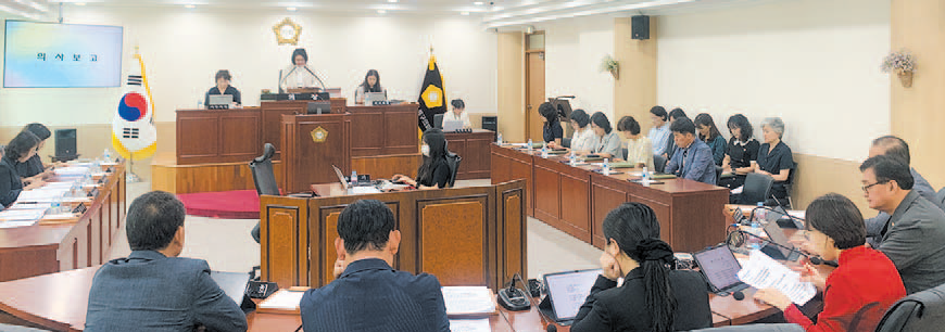 의원발의, 집행부 제출 안건 심의 의결