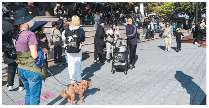 반려동물축제 `용두산길 같이걷개　