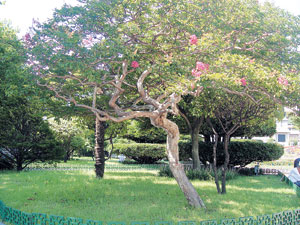 4824_6-3.jpg