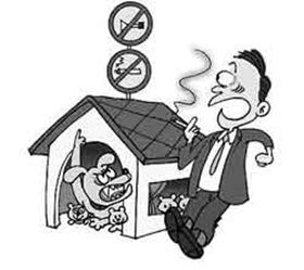 건/강/시/리/즈/14 　흡연자들 설자리 없어요