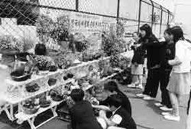 `한국야생화' 순회전시회 열려