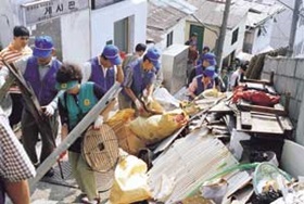 태풍 `매미' 피해 민·관 복구 총력