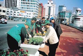 봄 꽃심기와 거리정화