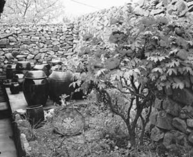 우리 삶의 모습 담은 장독대