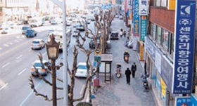 중앙로변 녹화로 아름다운 거리 조성