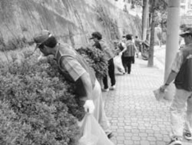 중구를 바꾸는 APEC 봉사단