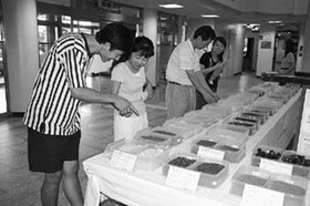 사진뉴스 TOP 4 - 농수산물 비교전