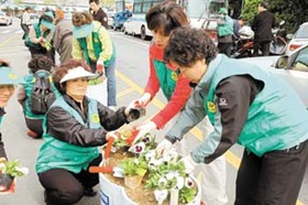 사진뉴스 Top 4 - 봄을 심어요