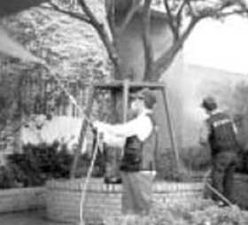 모기 파리 다 잡는다