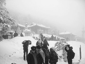 태백산이 부른다!