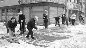 폭설 신속 대처