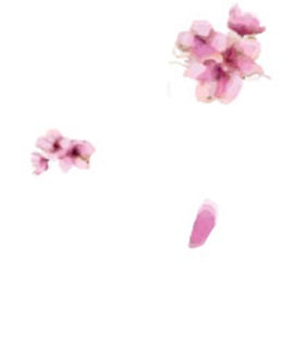 마음의 자락 - 낙 화