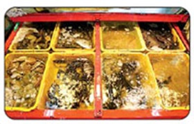 이상개 시인의 중구 이야기 2 - 자갈치 상권