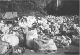 자리잡은 공공근로사업