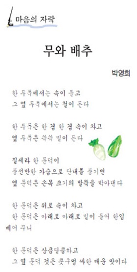 마음의 자락 -  무와 배추