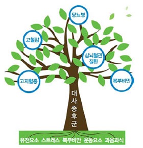 생활습관병을 극복하자－7 대사증후군
