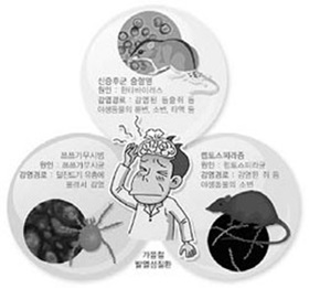 알아야 할 이달 건강관리법 8 - 가을철 감염병 조심하세요