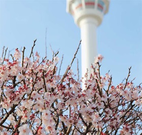 성큼 다가온 봄