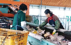 재활용 쓰레기 분리수거 잘 해야