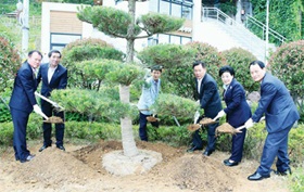 민선6기 구청장 취임 2주년 기념식수