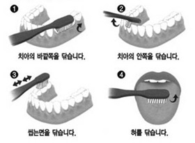 올바른 구강관리 바른 잇솔질에서