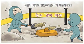 AI (조류인플루엔자) 이것이 궁금하다
