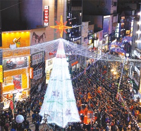 화려한 겨울 빛 축제 속으로