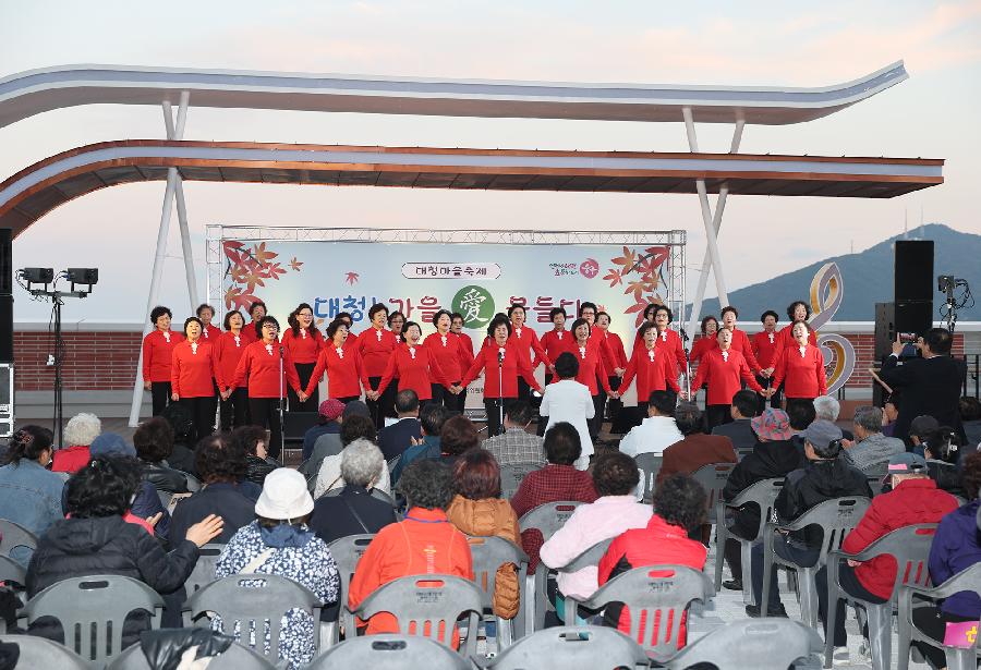 대청마을 축제 사진