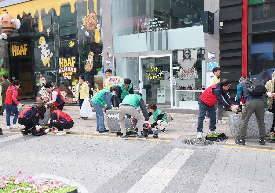 제81회 식목일 기념 꽃심기 행사 5