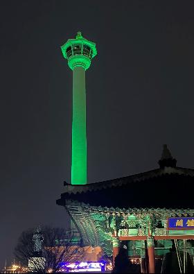 2022년 중구 전통시장 상인회와 함께하는 광복동 사진 공모전 입선(숲속런웨이)