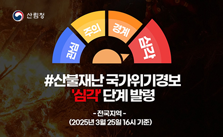 산림청
관심 주의 경계 심각
산불재난 국가위기경보 '심각' 단계 발령
-전국지역-
(2025년 3월 25일 16시 기준)