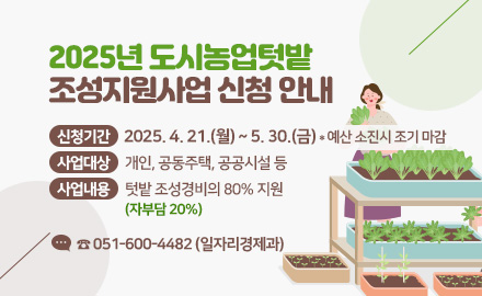 2025년 도시농업텃밭 조성지원사업 신청 안내
신청기간: 2025. 4. 21.(월) ~ 5. 30.(금) *예산 소진 시 조기마감
사업대상: 개인, 공동주택, 공공시설 등
사업내용: 텃밭 조성경비의 80% 지원(자부담 20%)
문의 : 051-600-4482(일자리경제과)