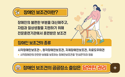 장애인 보조견이란?
장애인의 불편한 부분을 대신해주고,
자립과 일상생활을 지원하기 위해
전문훈련기관에서 훈련받은 보조견

장애인 보조견의 종류
시각장애인보조견*, 청각장애인보조견, 지체장애인보조견, 치료도우미견
* 시각장애인의 안전한 보행을 보조하는 장애인보조견을 '안내견'이라 칭함

장애인 보조견의 공공장소 출입은 당연한 권리
더보기